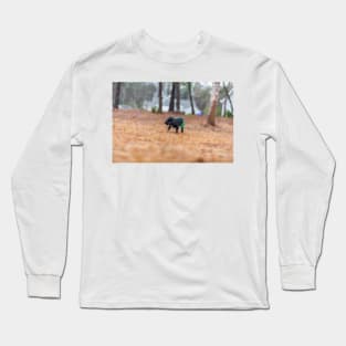 backyard wanderings Long Sleeve T-Shirt